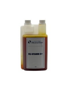 EQ-Vitamin B+